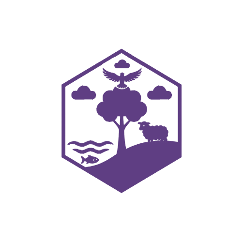 D'FOUNDATION | The CAP Program Fund