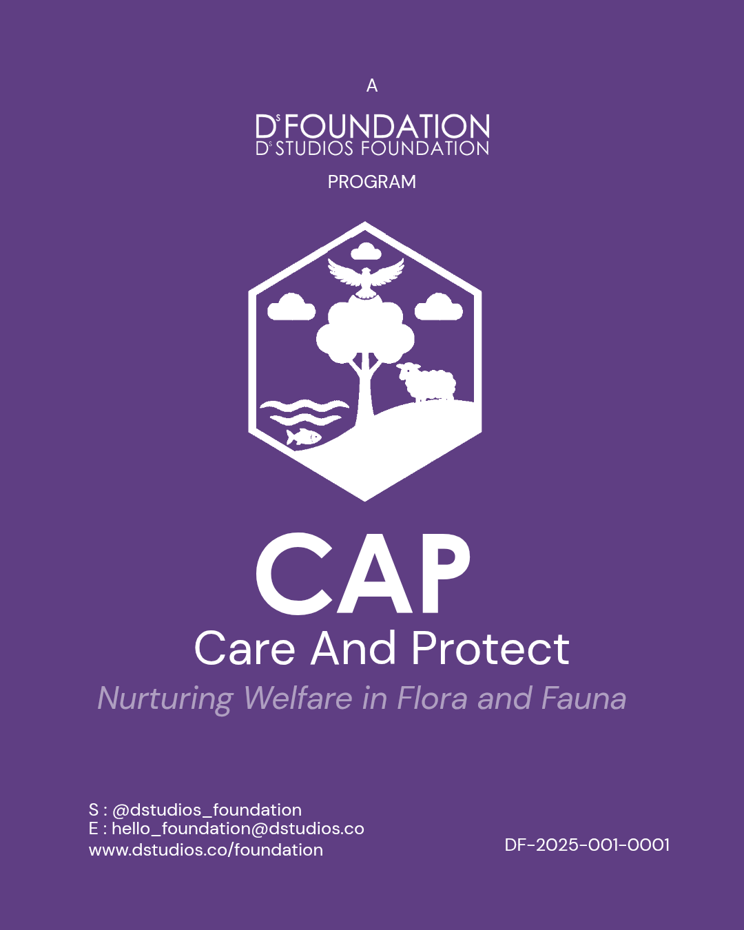D'FOUNDATION | The CAP Program Fund